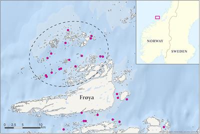 Planktonic and Parasitic Sea Lice Abundance on Three Commercial Salmon Farms in Norway Throughout a Production Cycle